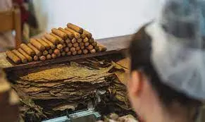 Premium cigar manufacturing equipment - Tobacco processing machinery for luxury cigar production